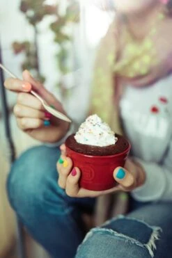 Emile Henry Ramekin Dish No9 Set Of 2 Clay -Victorinox shop 61Oxsf MVeL. AC SL1125