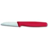 Victorinox VictornoxI Paring Stainless Steel Knife Straight Blade