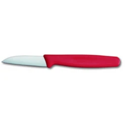 Victorinox VictornoxI Paring Stainless Steel Knife Straight Blade